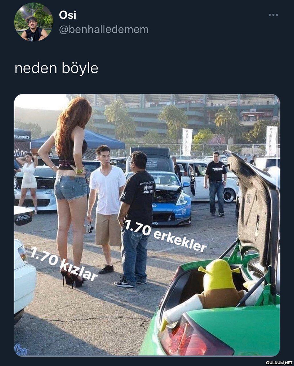 murphy kanunu gibi   ...