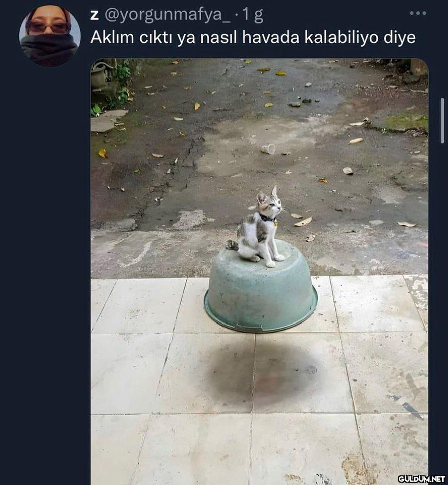 Ee havada değil mi zaten...