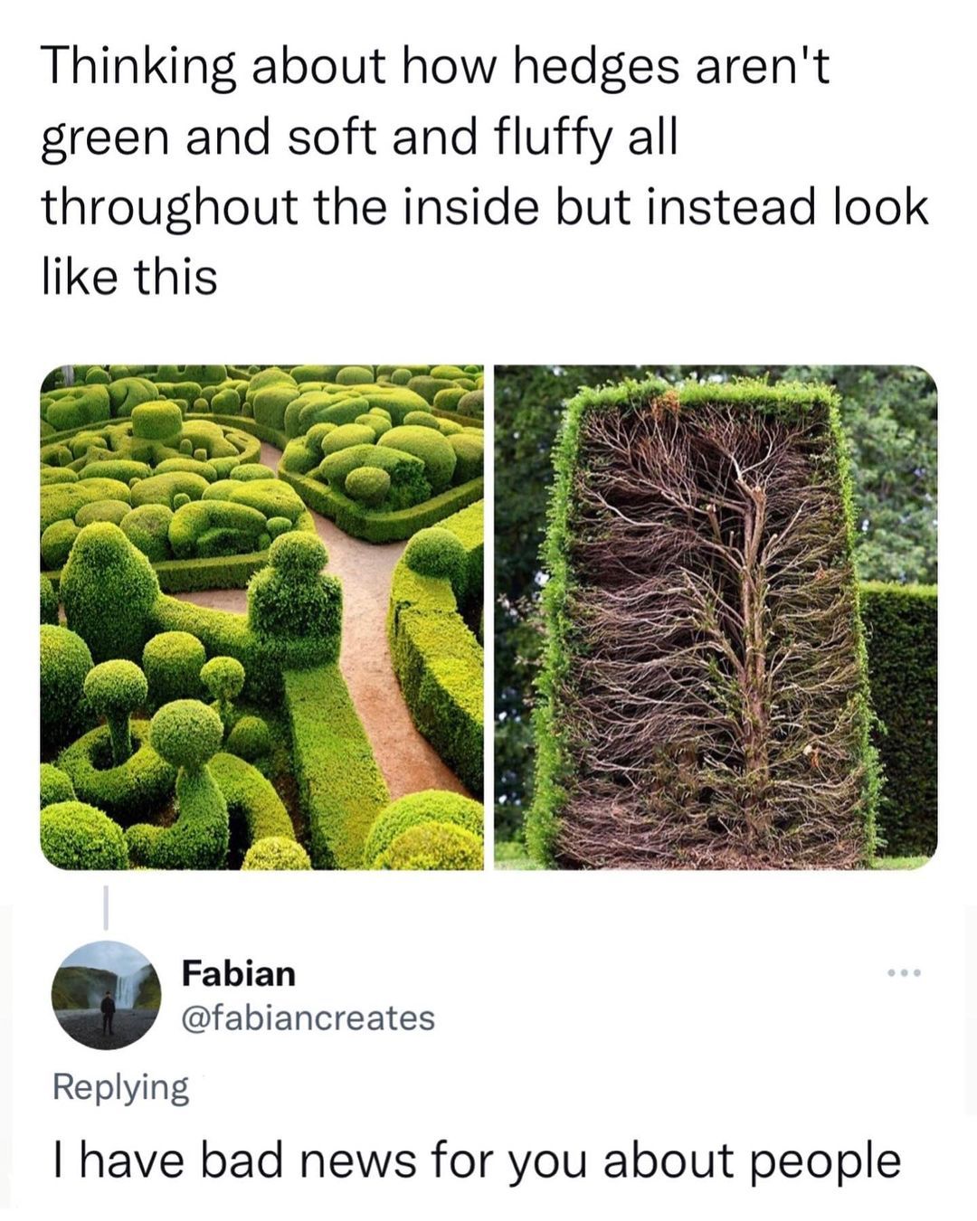 Kaynak