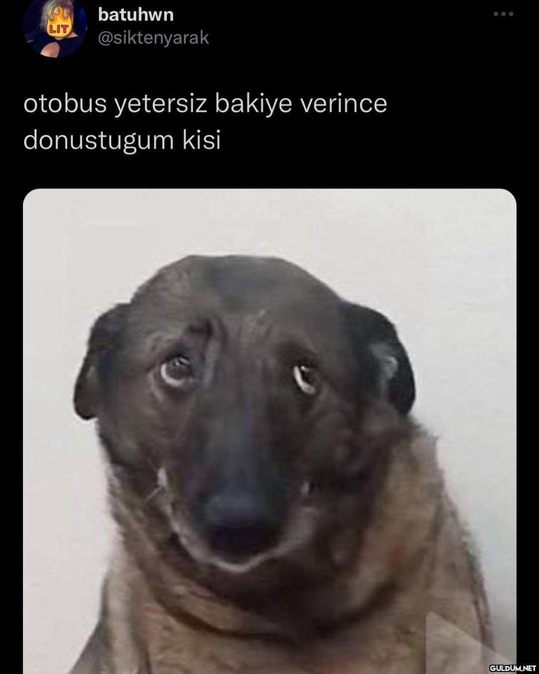 södmöeödöeöfödöcöec    YOU...