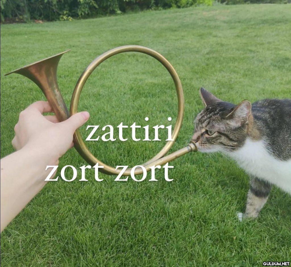 zattiri zort zort   Kaynak