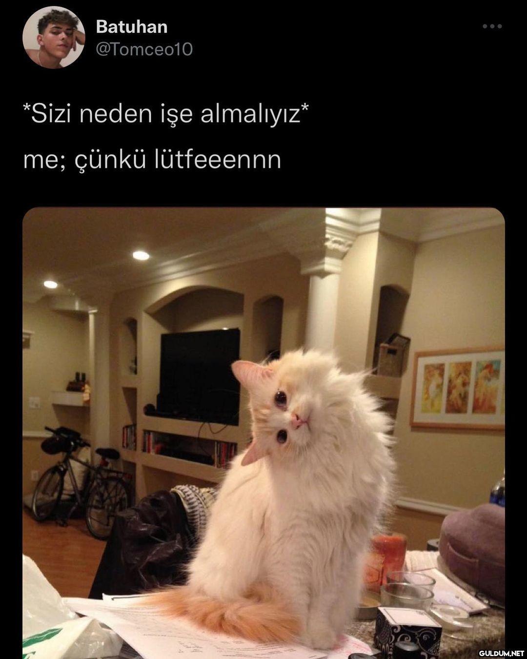 cnkü nie almayasiniz   ...