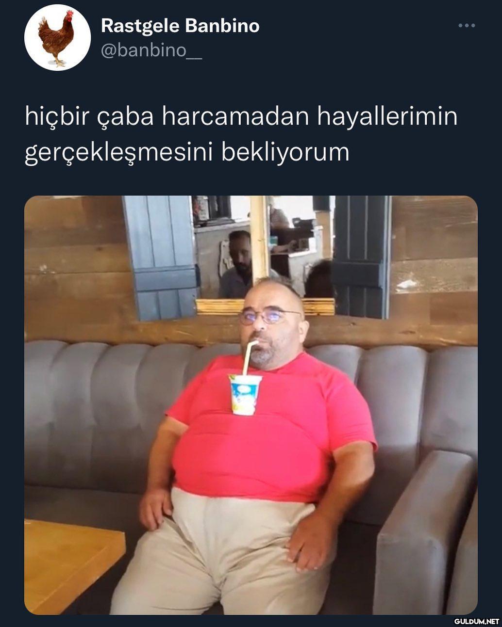 Rastgele Banbino @banbino_...
