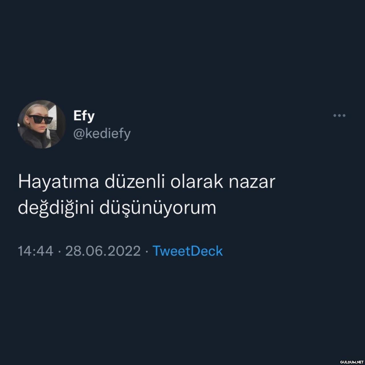 Efy @kediefy Hayatıma...