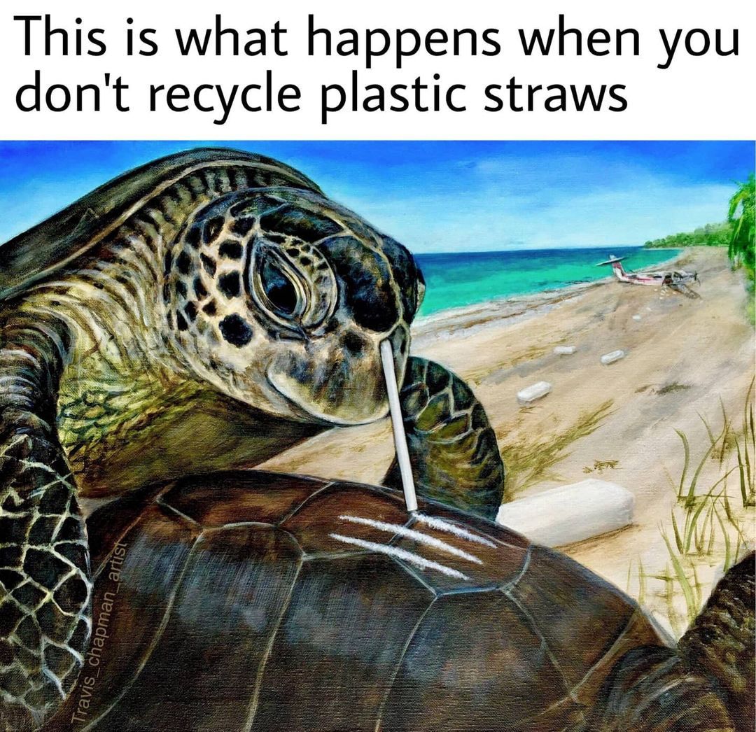 Don't use plastic straws 🚫...