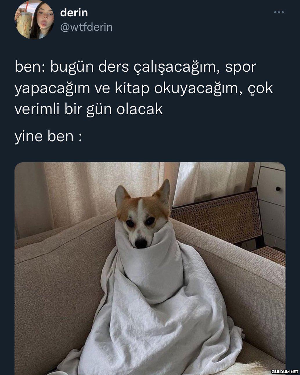 günümün özeti    derin...