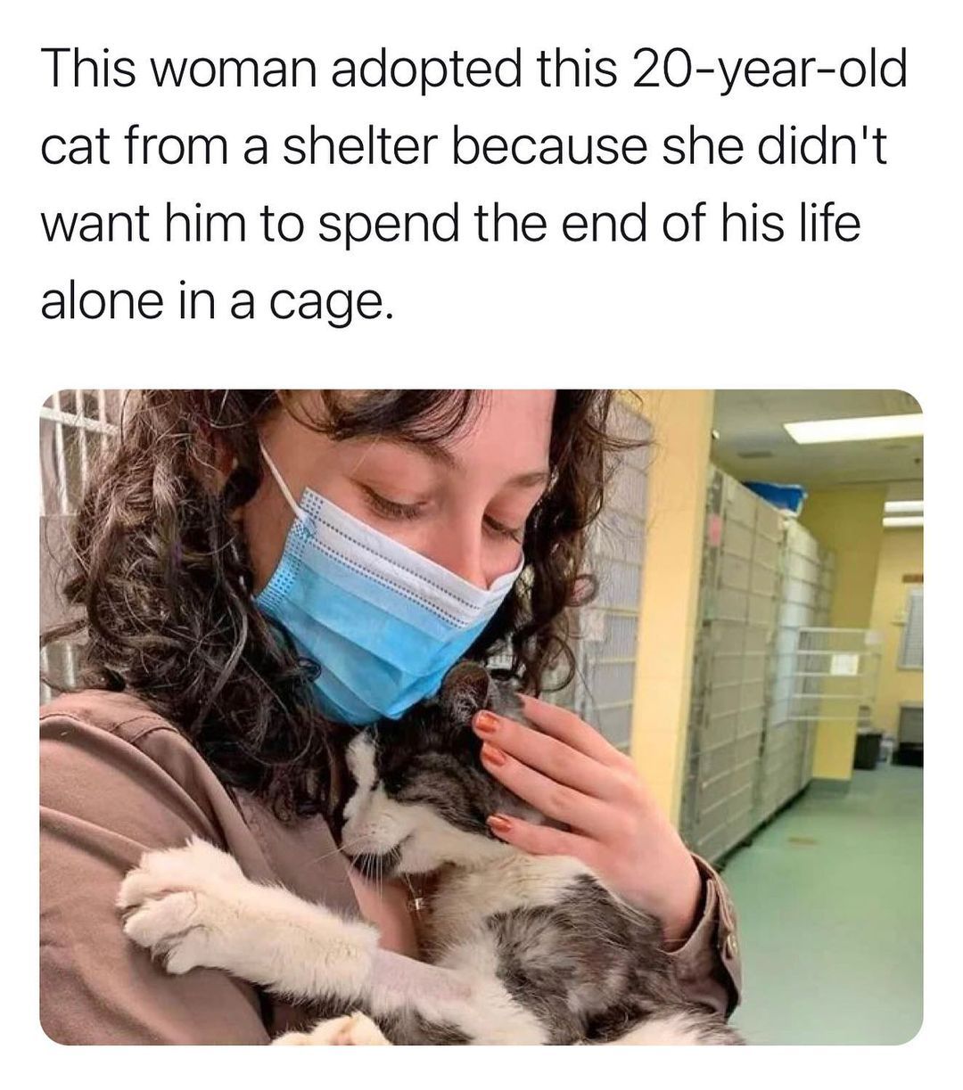 I‘m not crying you are   Kaynak