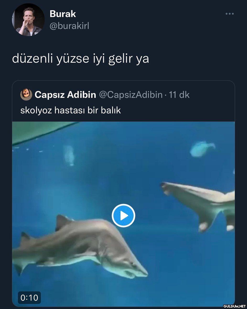 10/10 öneri    Burak...