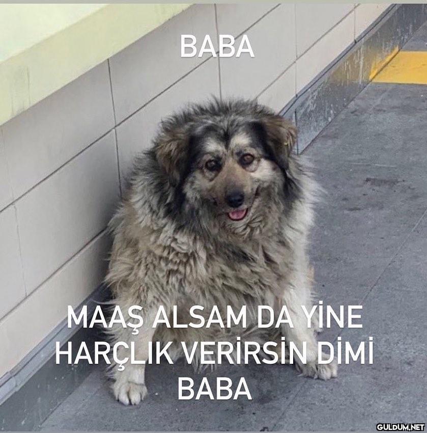 Haftasonu tüm maaşımı...
