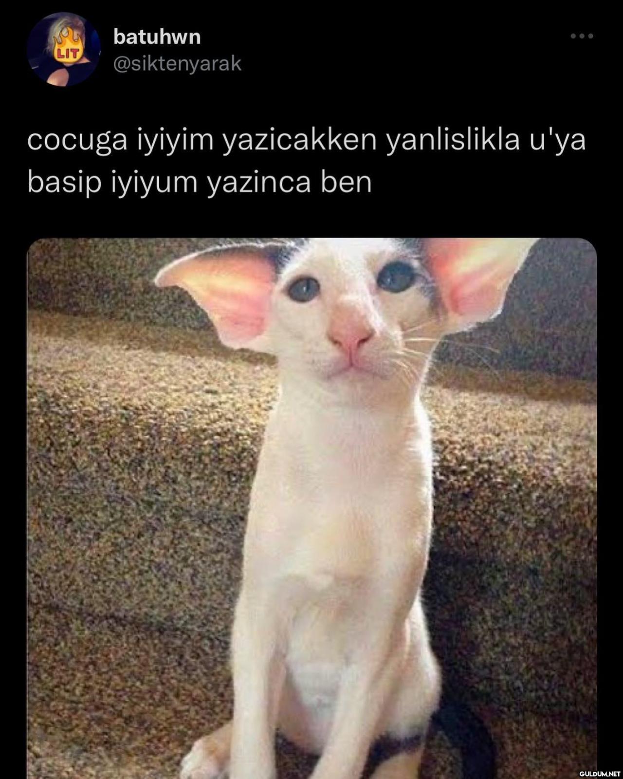 LIT batuhwn @siktenyarak...