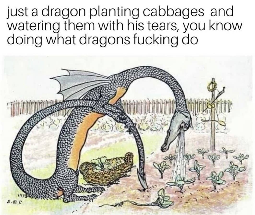 . . . . #funnymemes...