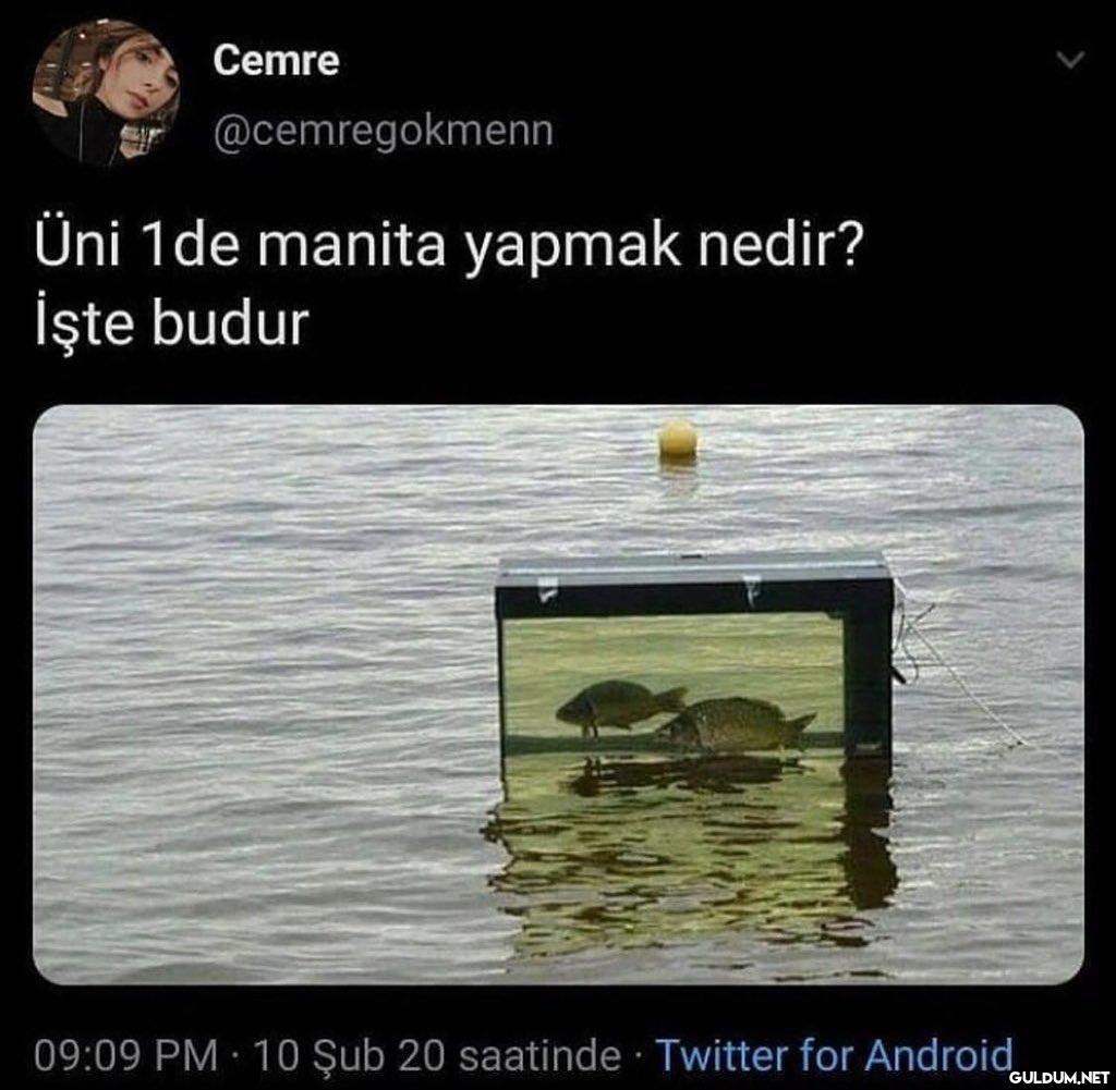 hic etik degil    Cemre...