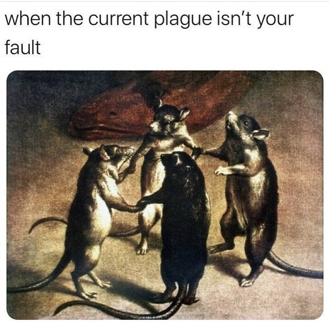 . . . #funnymemes...