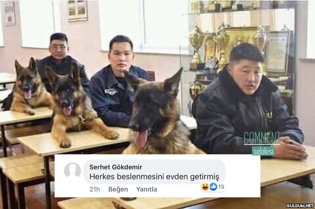 comment şelalesi 1928   ...