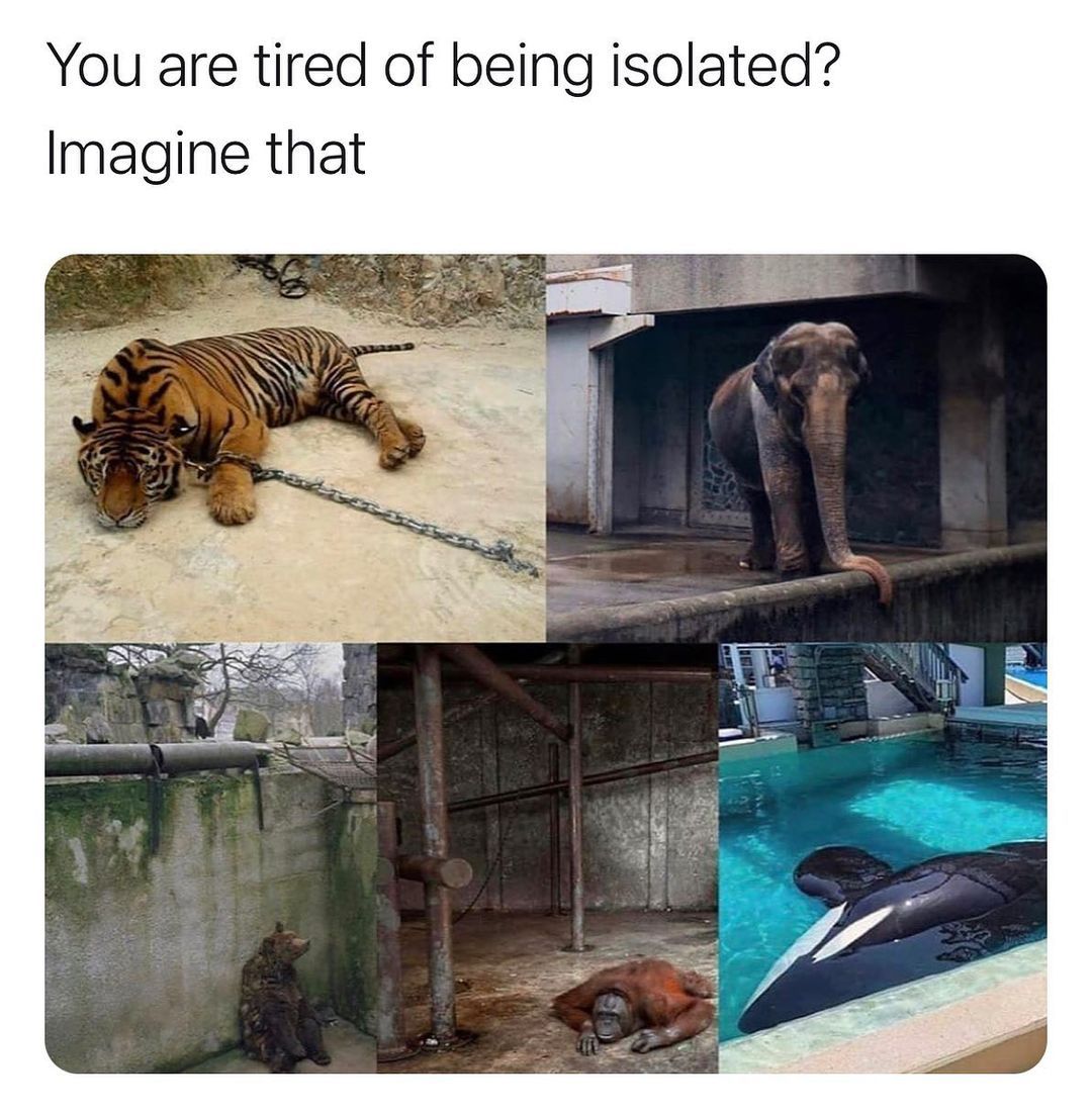 Humans are disgusting   Kaynak