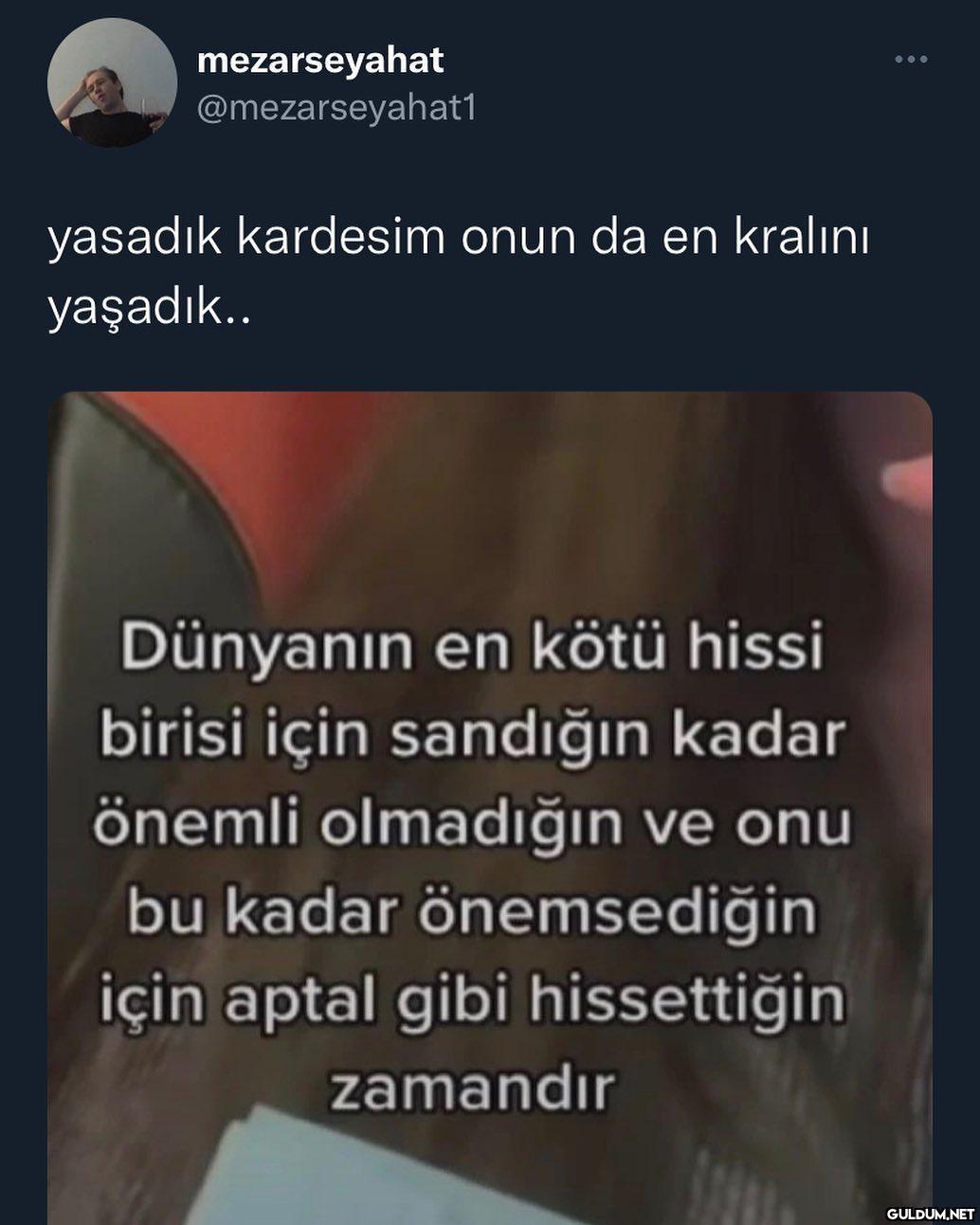 mezarseyahat...