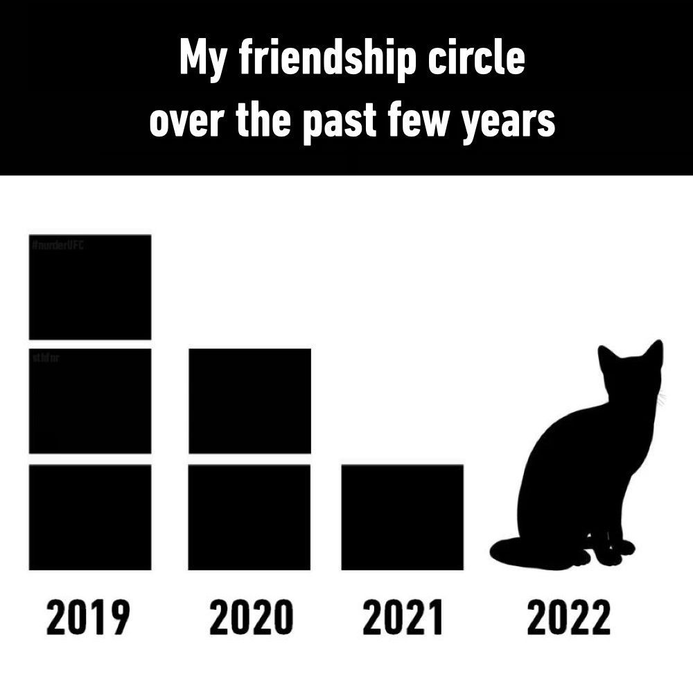 my cat: I ain't your...