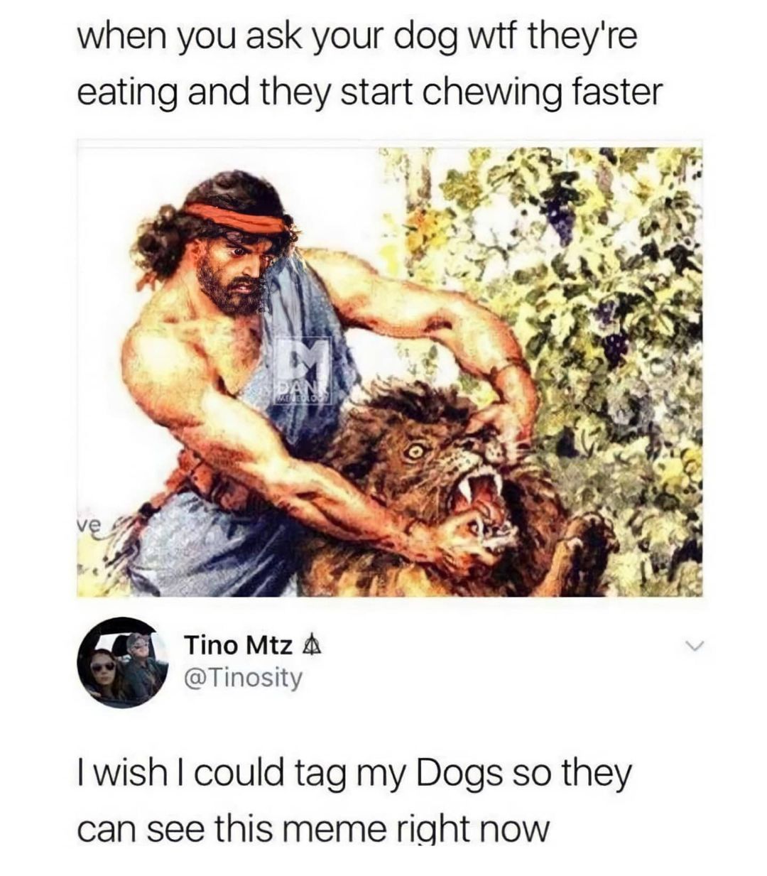 . . . . #funnymemes...