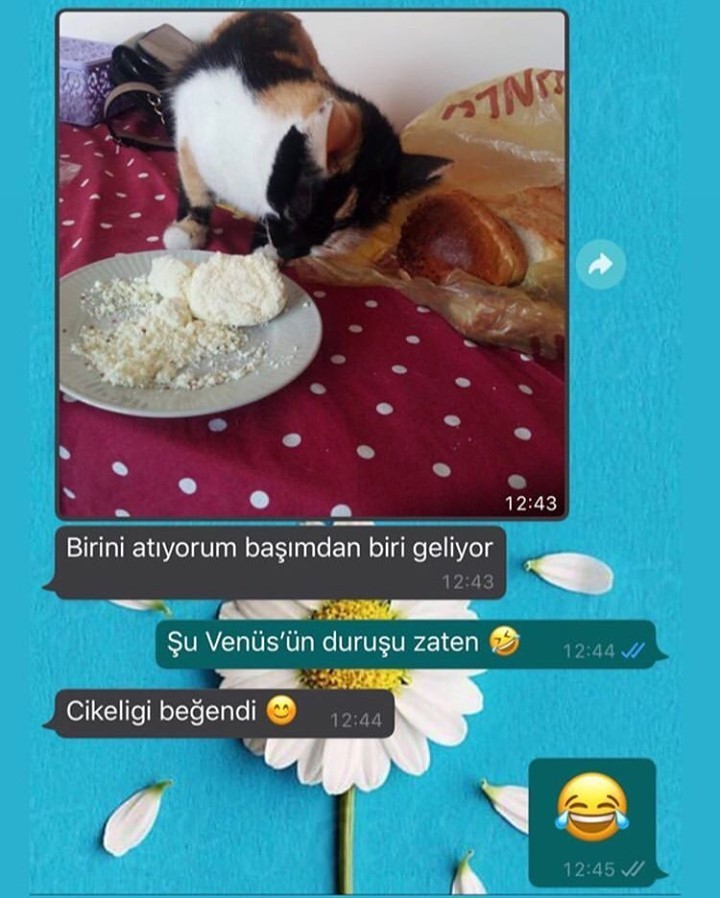 Lan neydi doğrusu   Kaynak