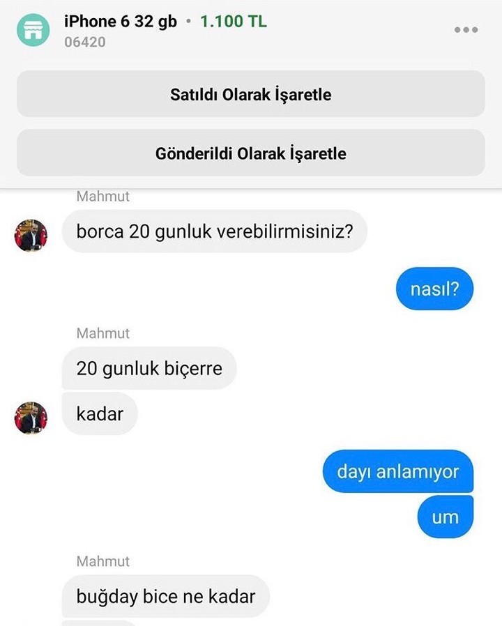 Mahmut abi buğdayları...