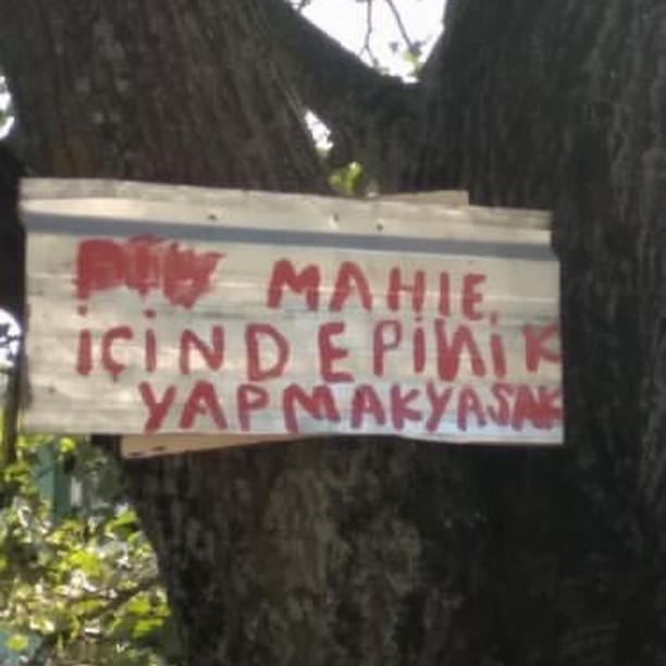 Köylü milletin efendisidir...