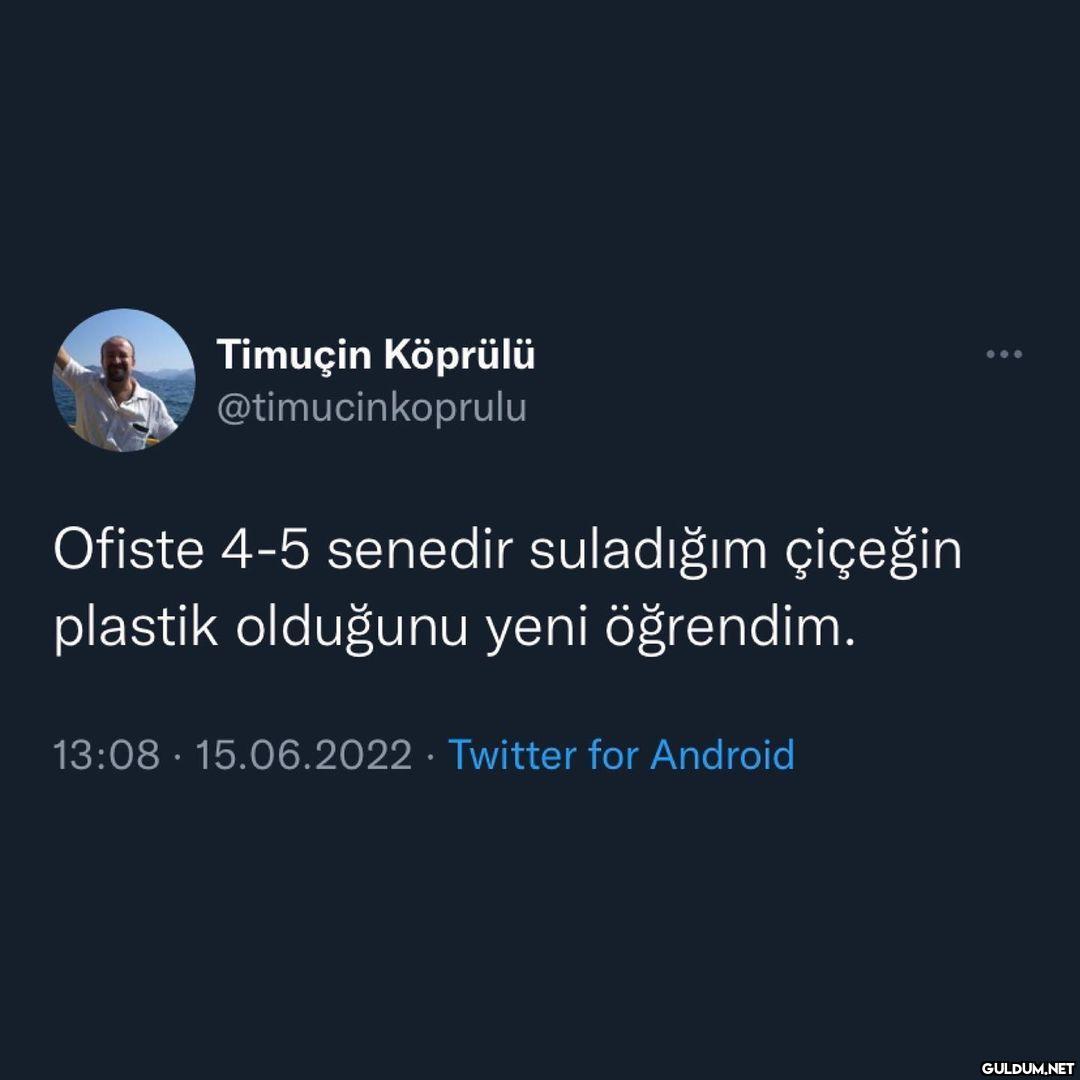 Timuçin Köprülü...
