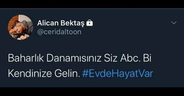 Duygularıma tercüman...