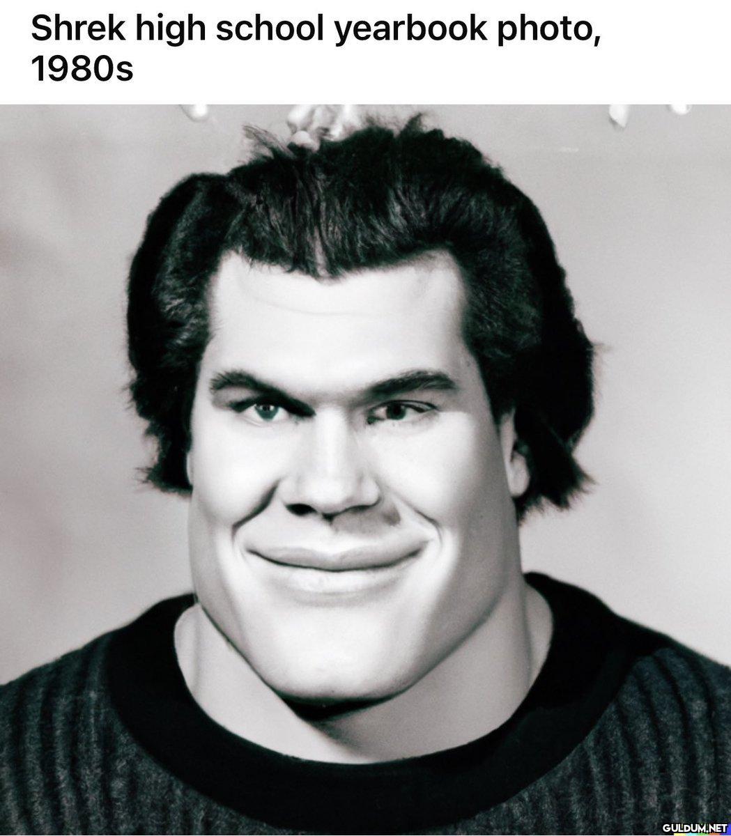 Shrek high school yearbook...