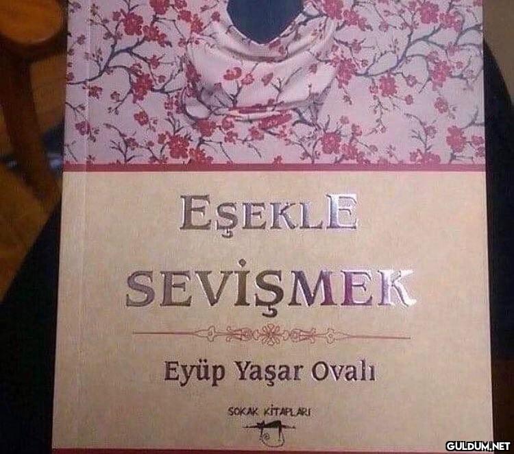 Biraz da kültürlenelim   ...