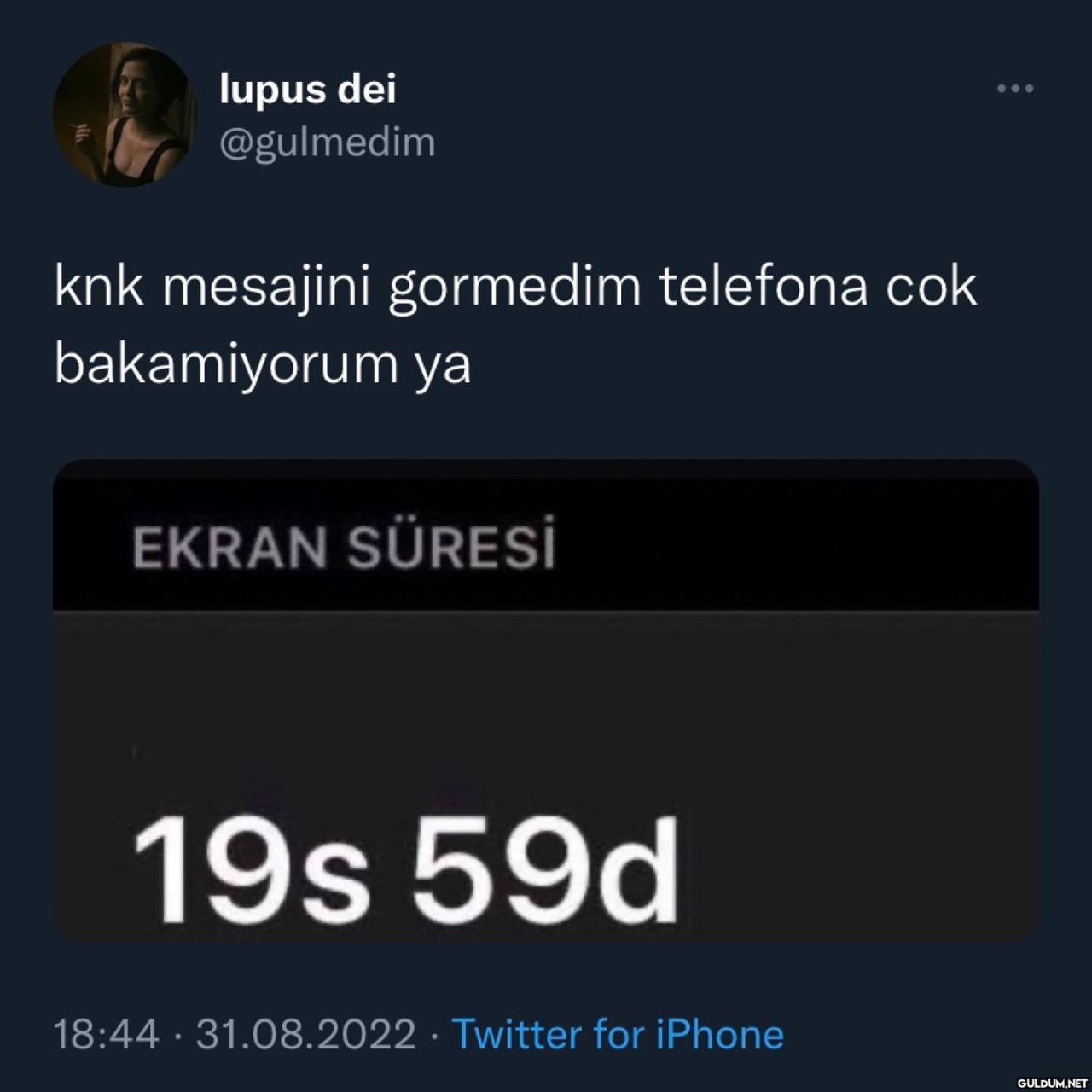 lupus dei @gulmedim knk...