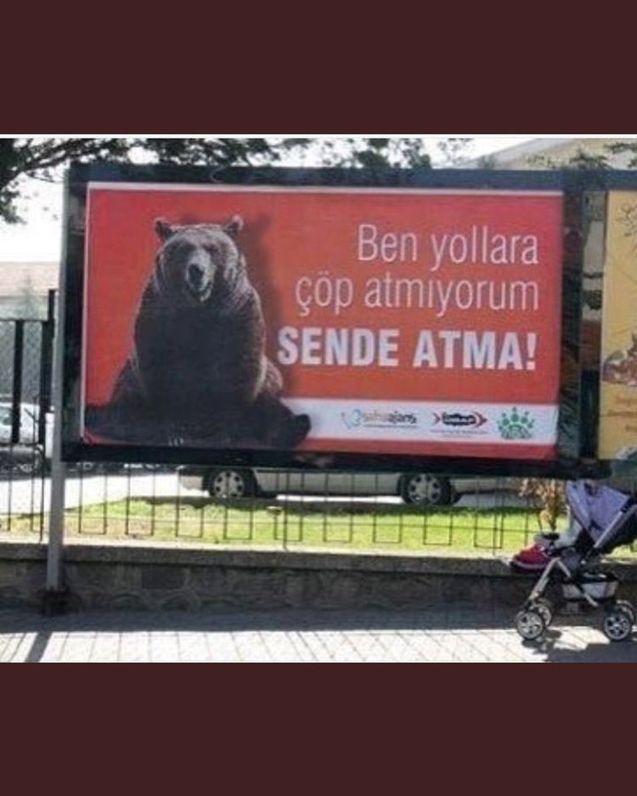 Bunu söyleyen ayı olduğu...