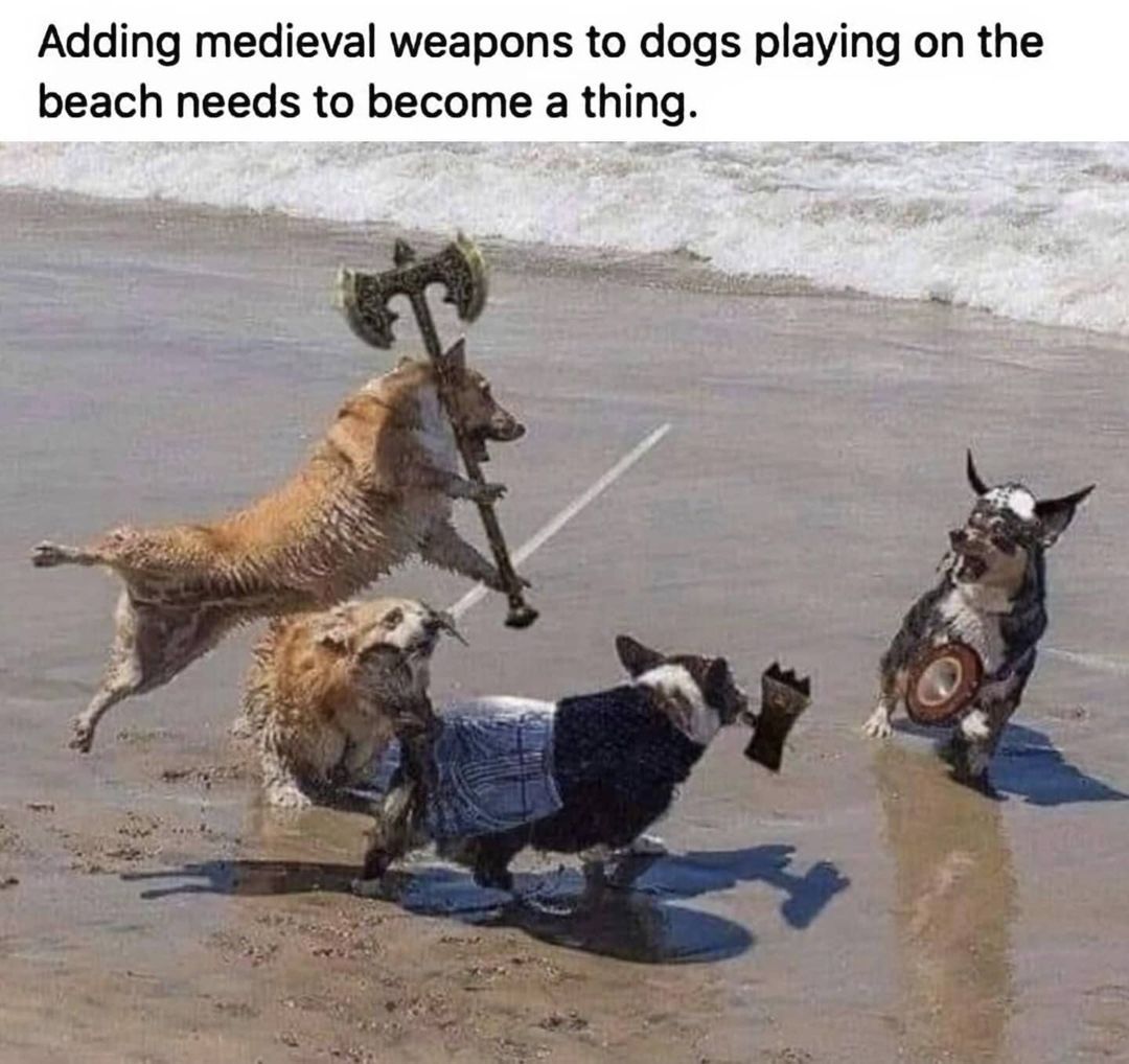 . . . . .  . ....