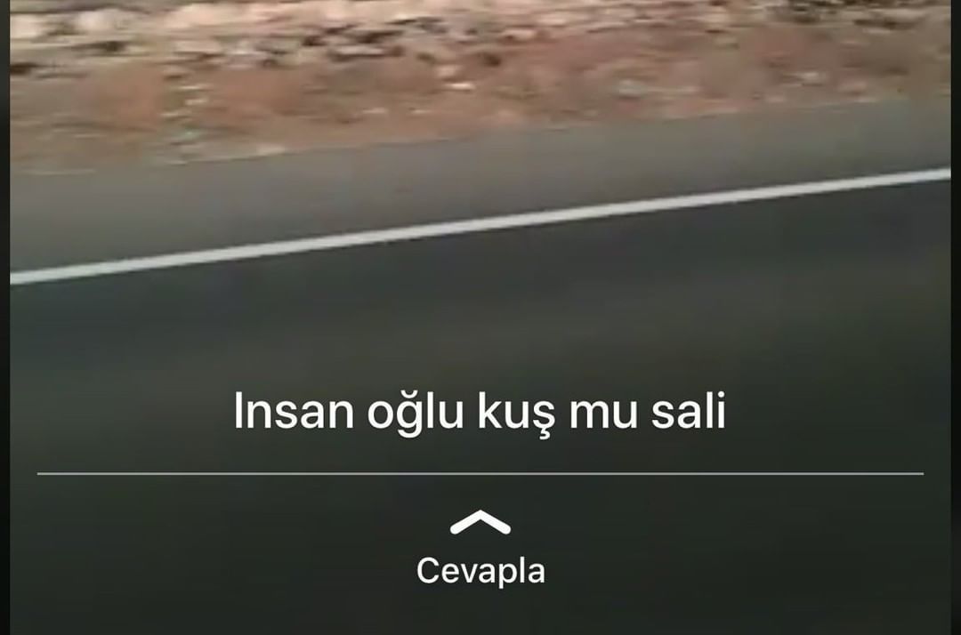 Kuş mu salı yoksa insan mı...