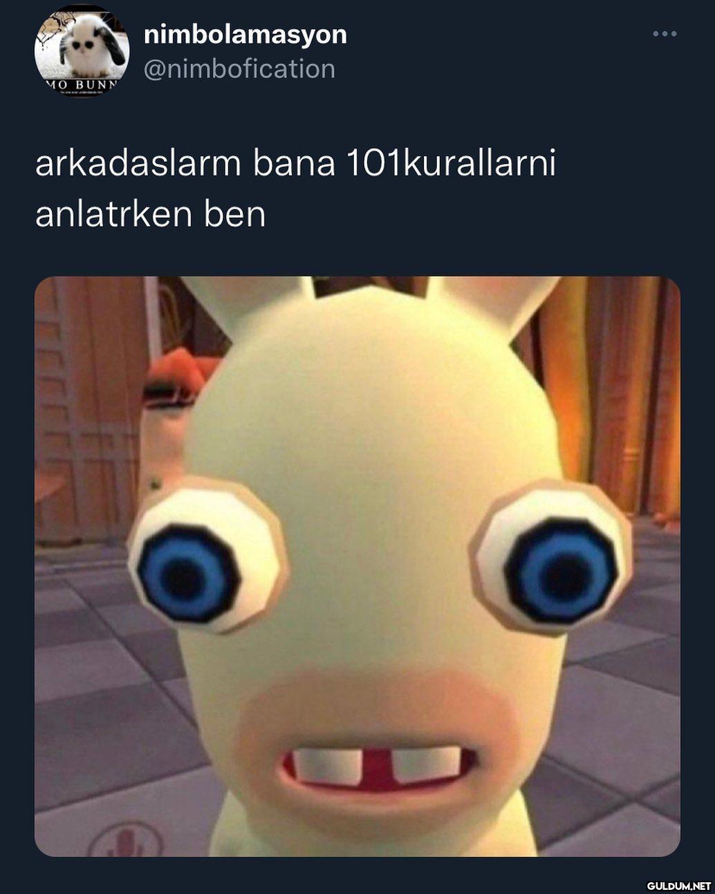 MO BUNN nimbolamasyon...