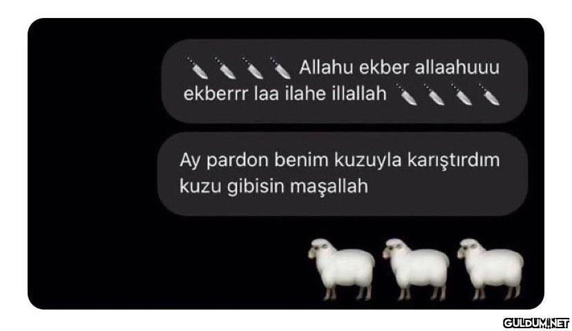 Düşer mi dersiniz   ...