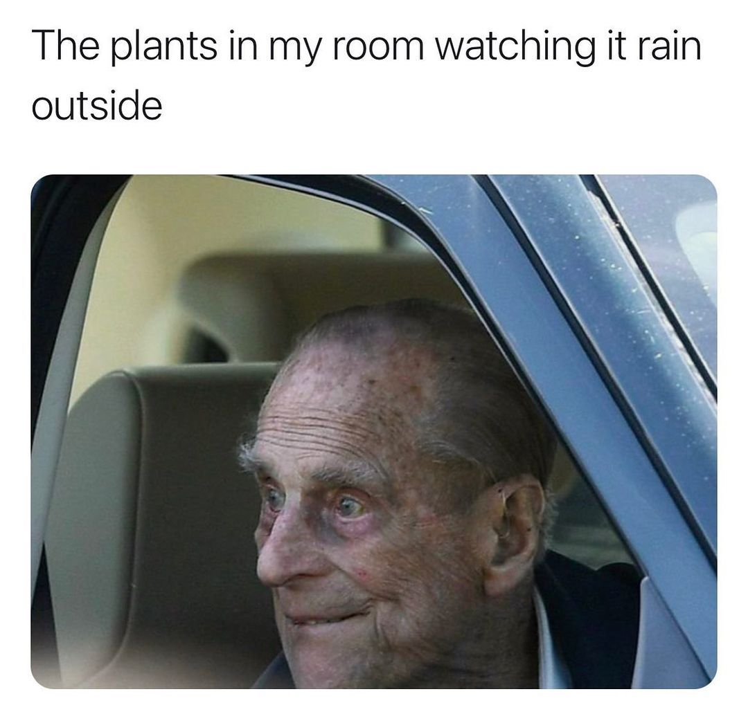 Dry and dying   Kaynak