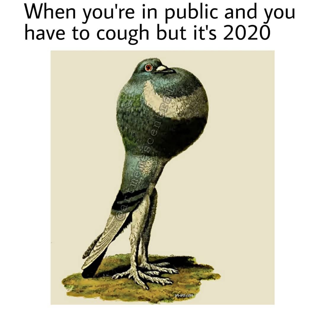 . . . . ....