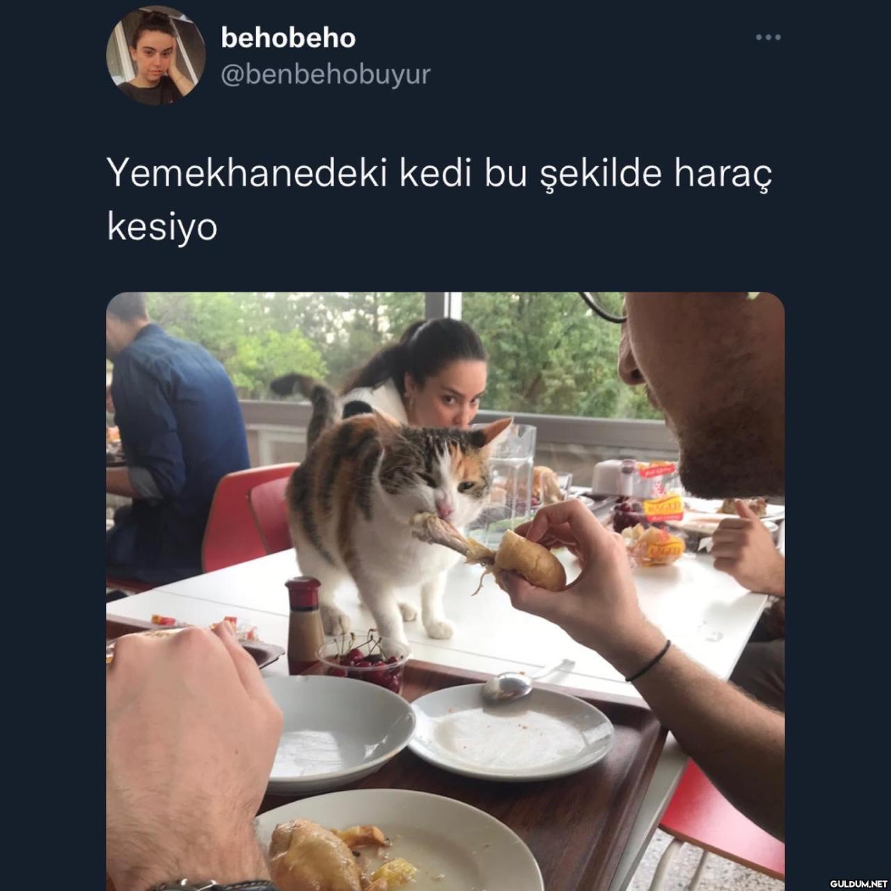 çok rahat çok profesyonel ...