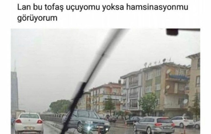 Karadenizli galiba   Kaynak