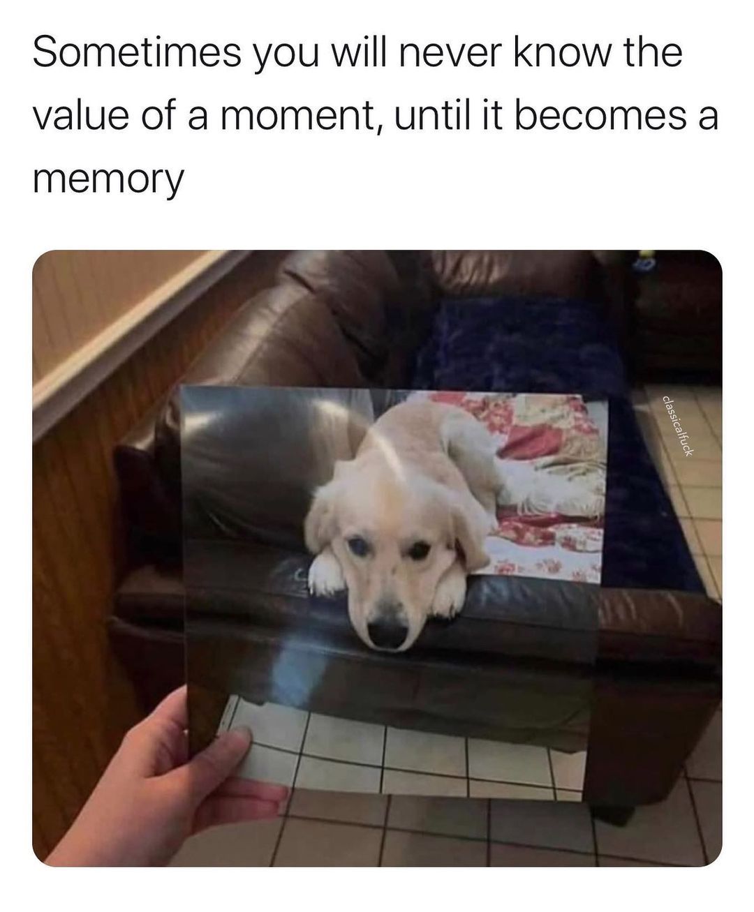 This hit’s hard when you...