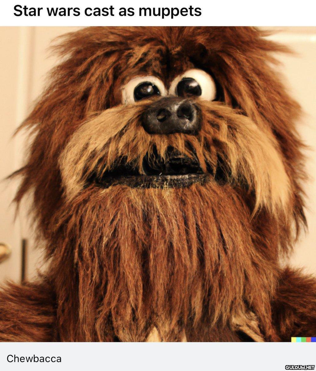Star wars cast as muppets...
