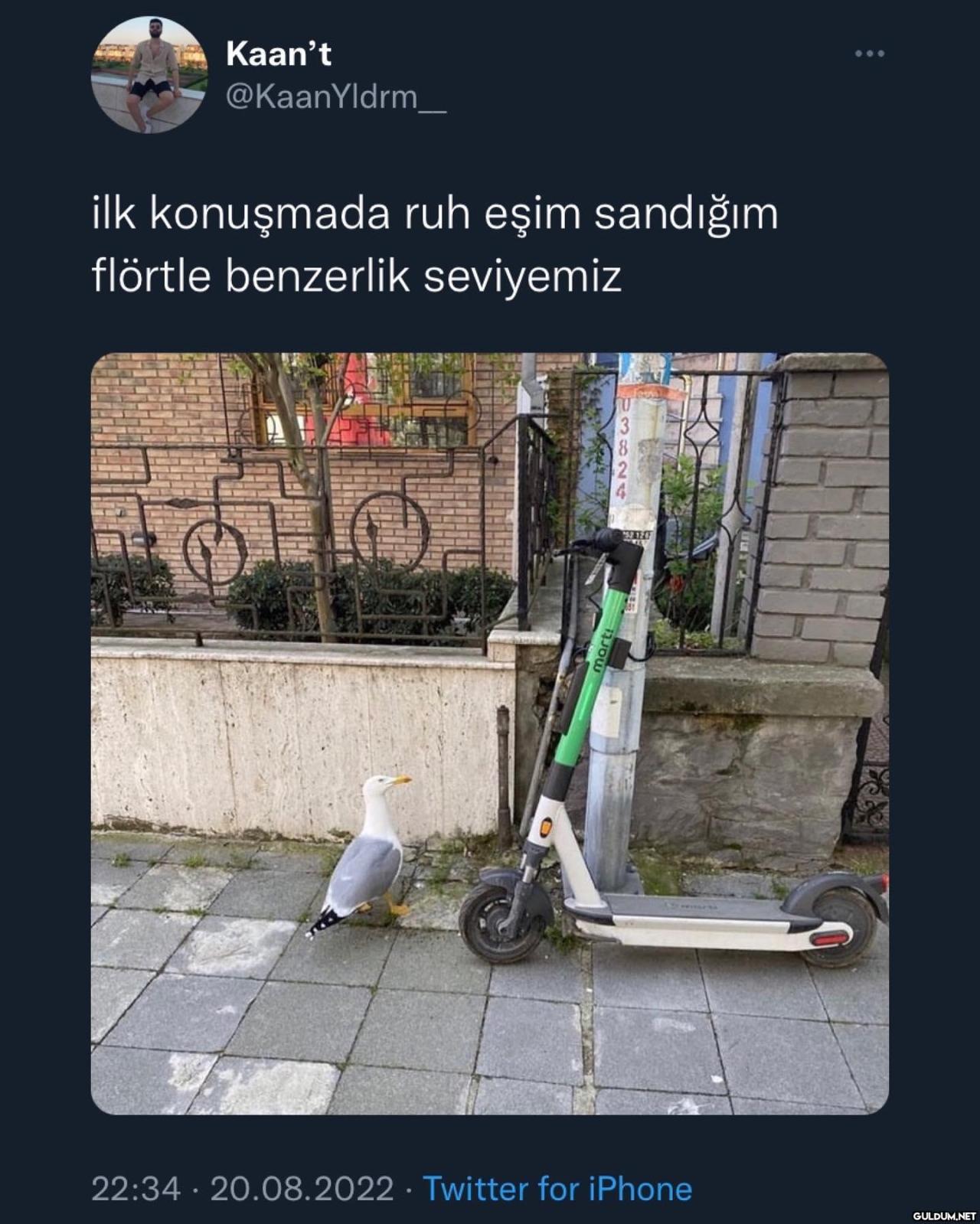 Kaan't @KaanYldrm_ ilk...