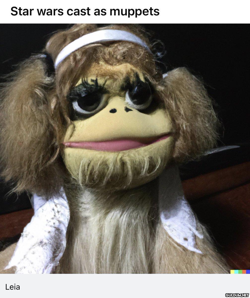 Star wars cast as muppets...