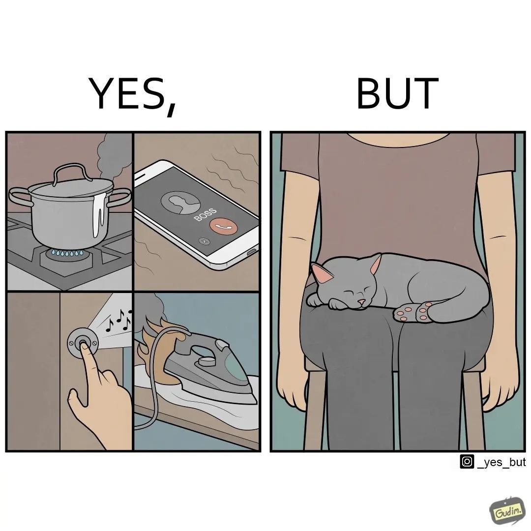 can't wake my cat no...