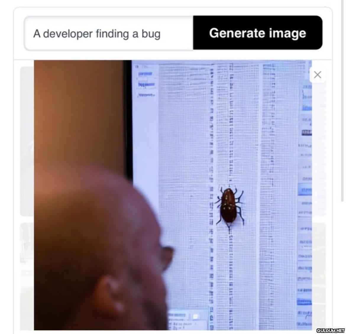 A developer finding a bug...