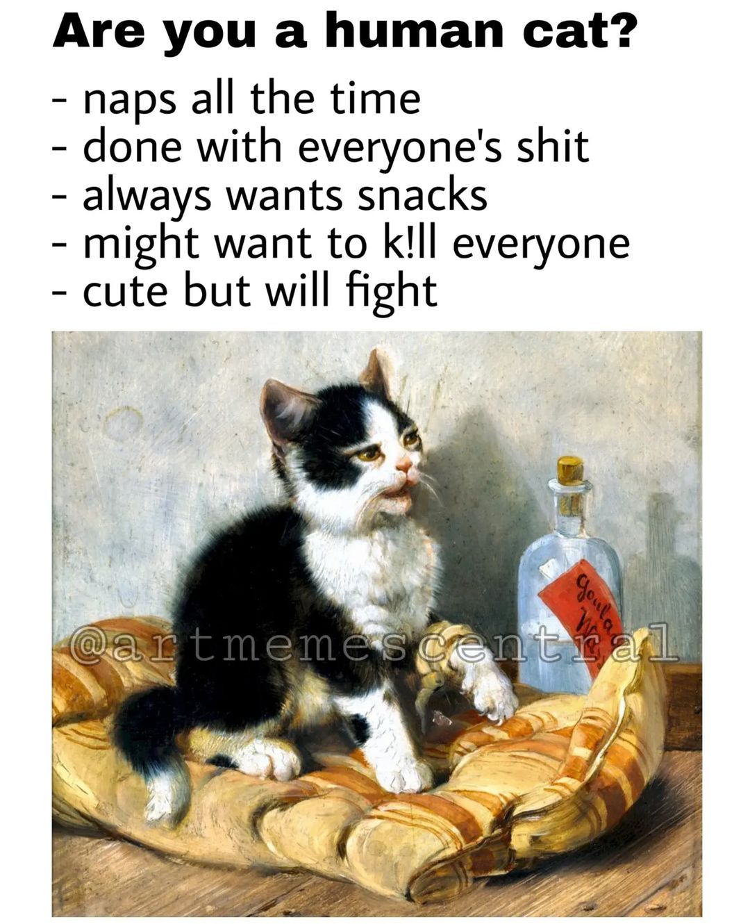 🐈 . . . #nichememes...