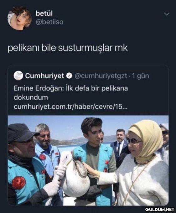 betül @betiiso pelikani...