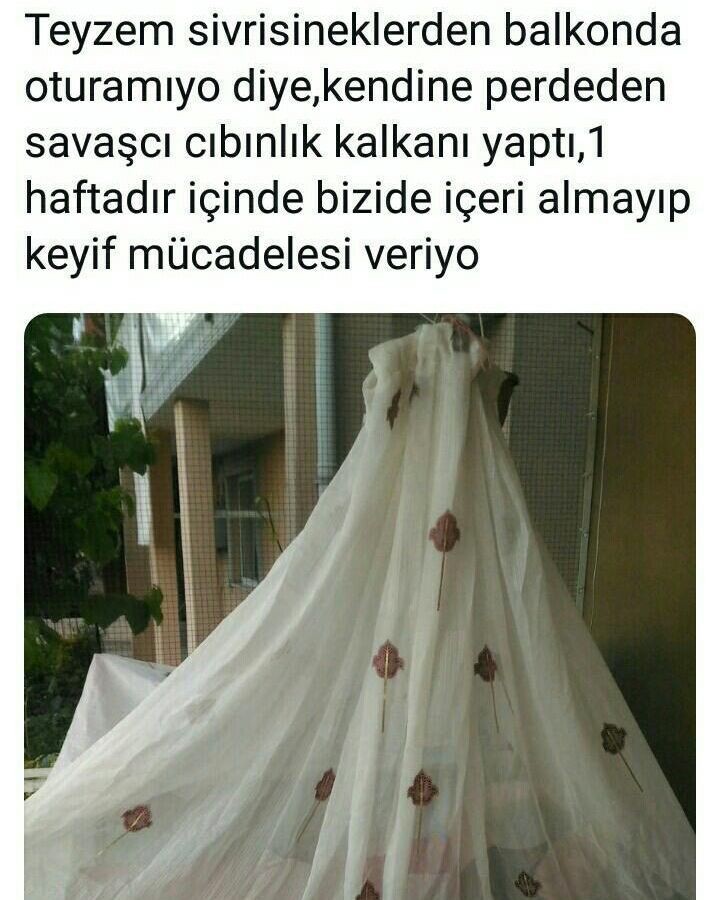 Kaynak