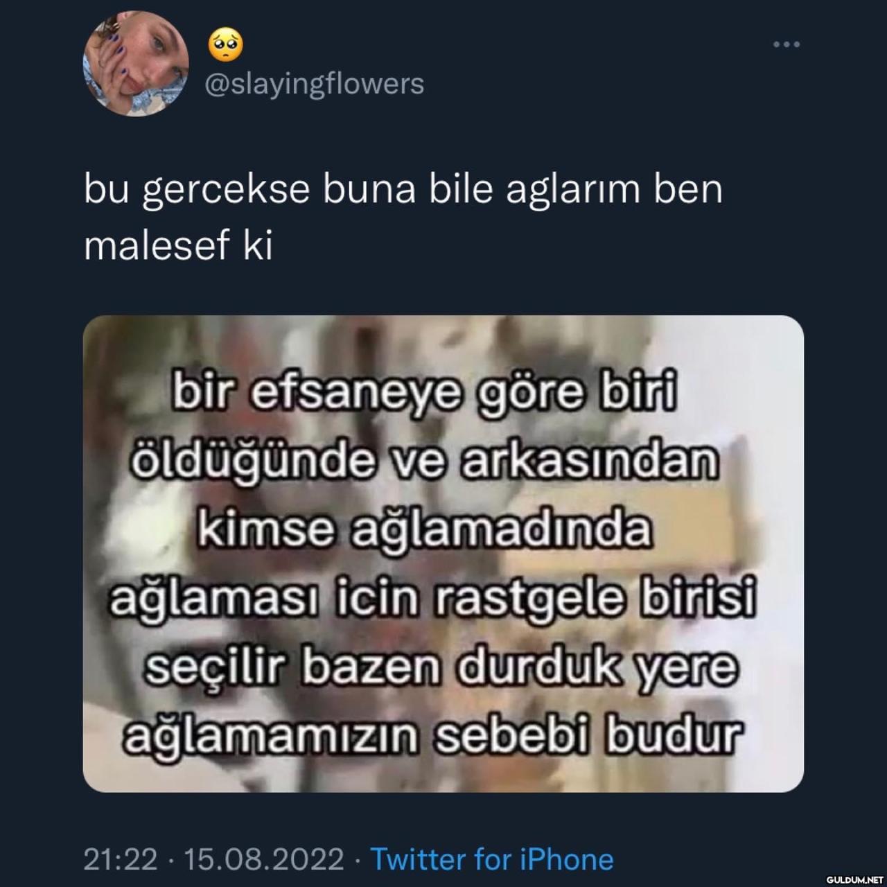 @slayingflowers bu...