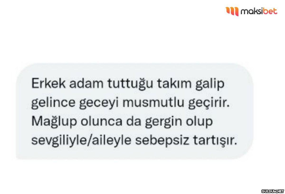 https://t.co/ThFsILN7MS  ...
